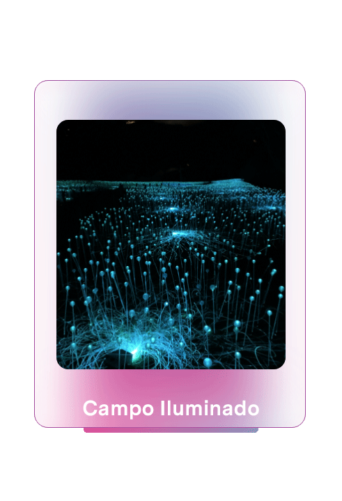 Campo-Iluminado-Novo1