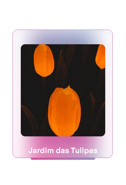 Jardim-das-Tulipas
