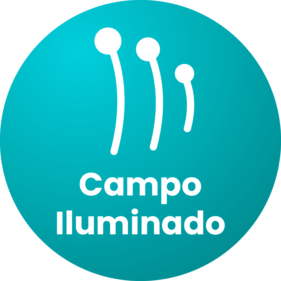 Campo Iluminado